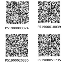 Registered QR Code